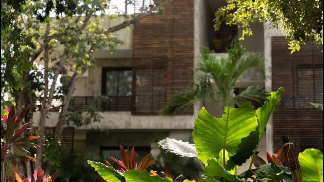 Panacea Condo Tulum Exteriér fotografie