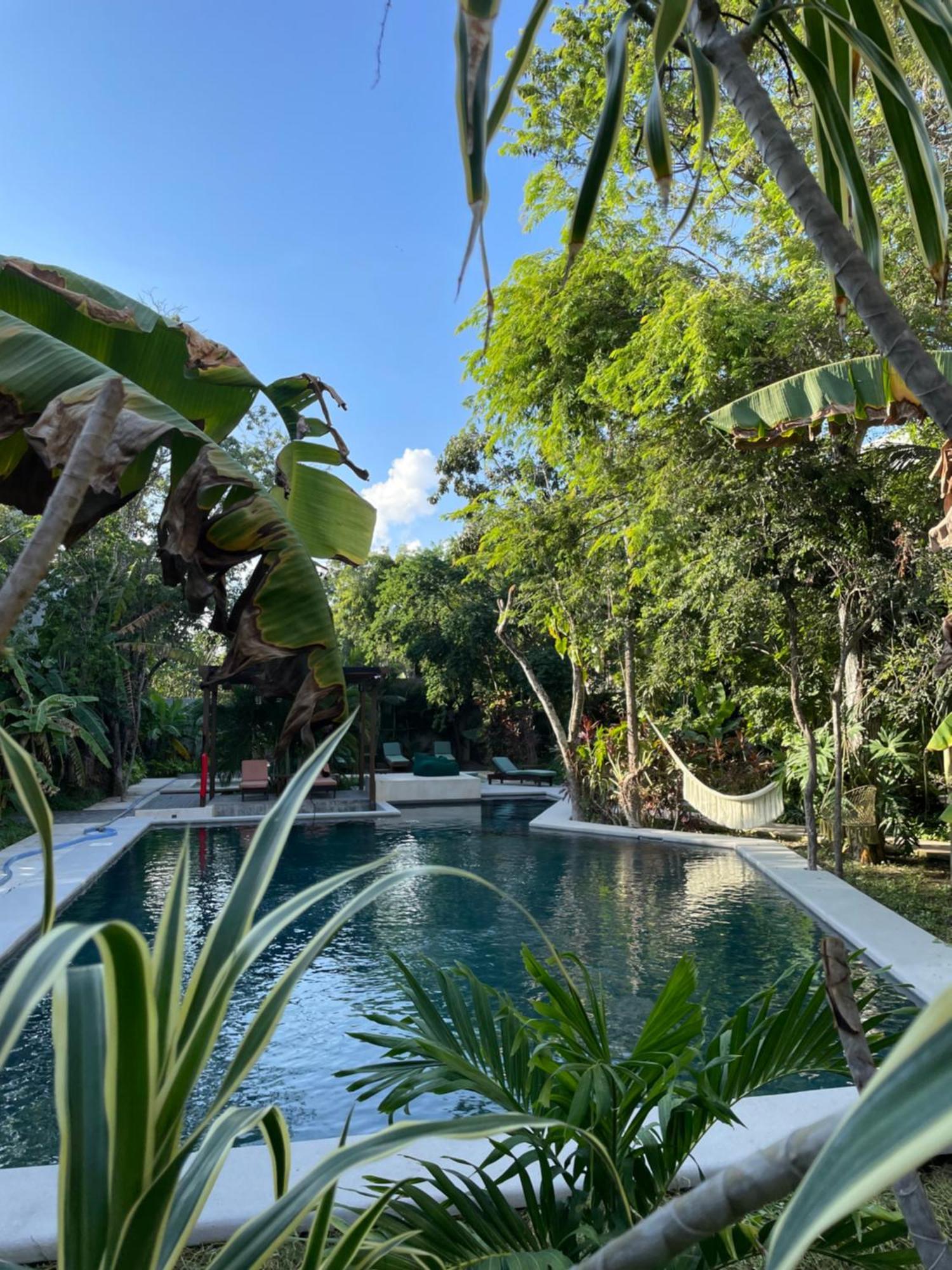 Panacea Condo Tulum Exteriér fotografie